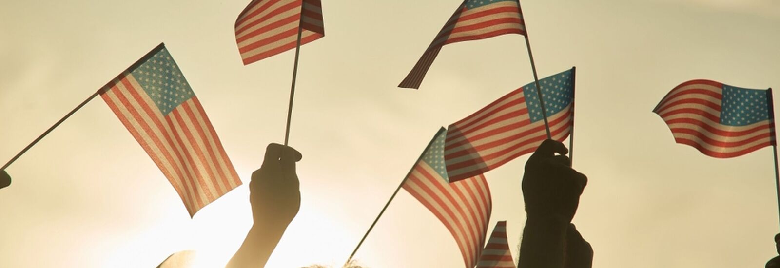 People holding small American Flags in the sky